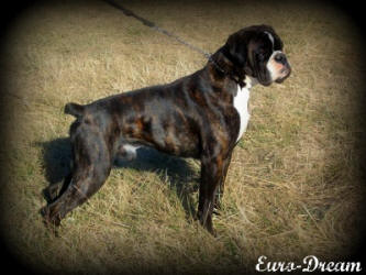 Kano's Sire