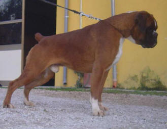 Razor's Sire